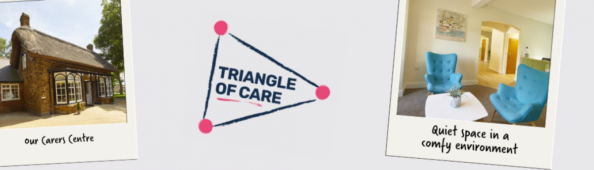 Triangle of Care header 2